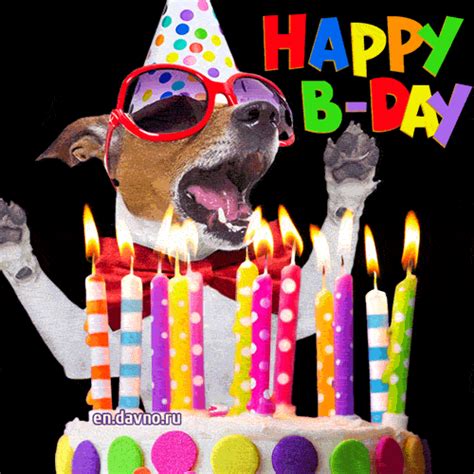 dog birthday gif